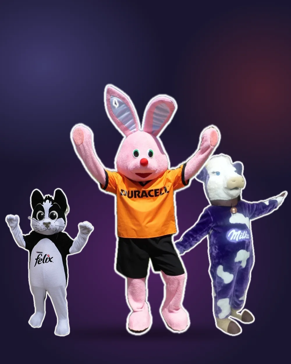 Three mascot costumes: a black and white cat, a pink rabbit and a purple cow